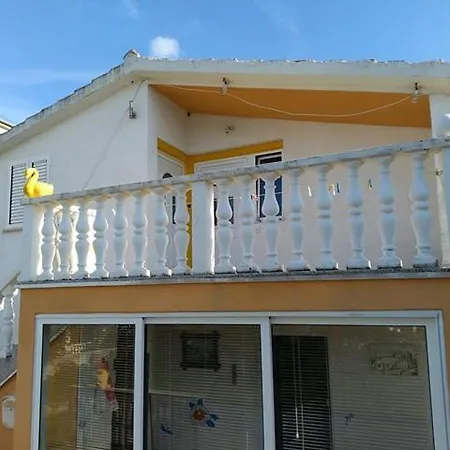 Sokol Vrsi